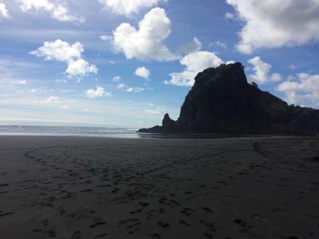 Day 8 | 18th October 2016 Auckland, Henderson, Piha