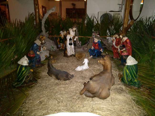 Nativity Scene - Christmas on Galapagos