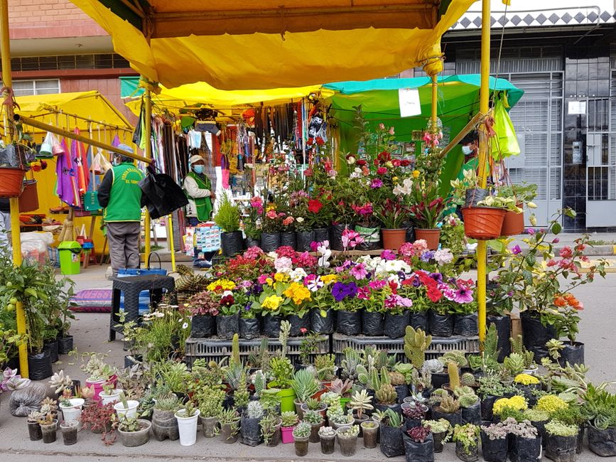 Market day in Huancayo