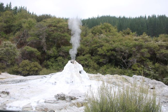 Wai-O-Tapu geothermal area