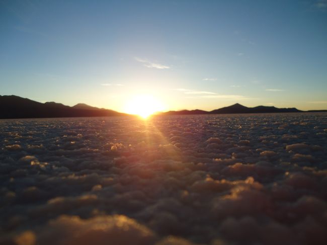 Salt desert, flamingos and volcanoes