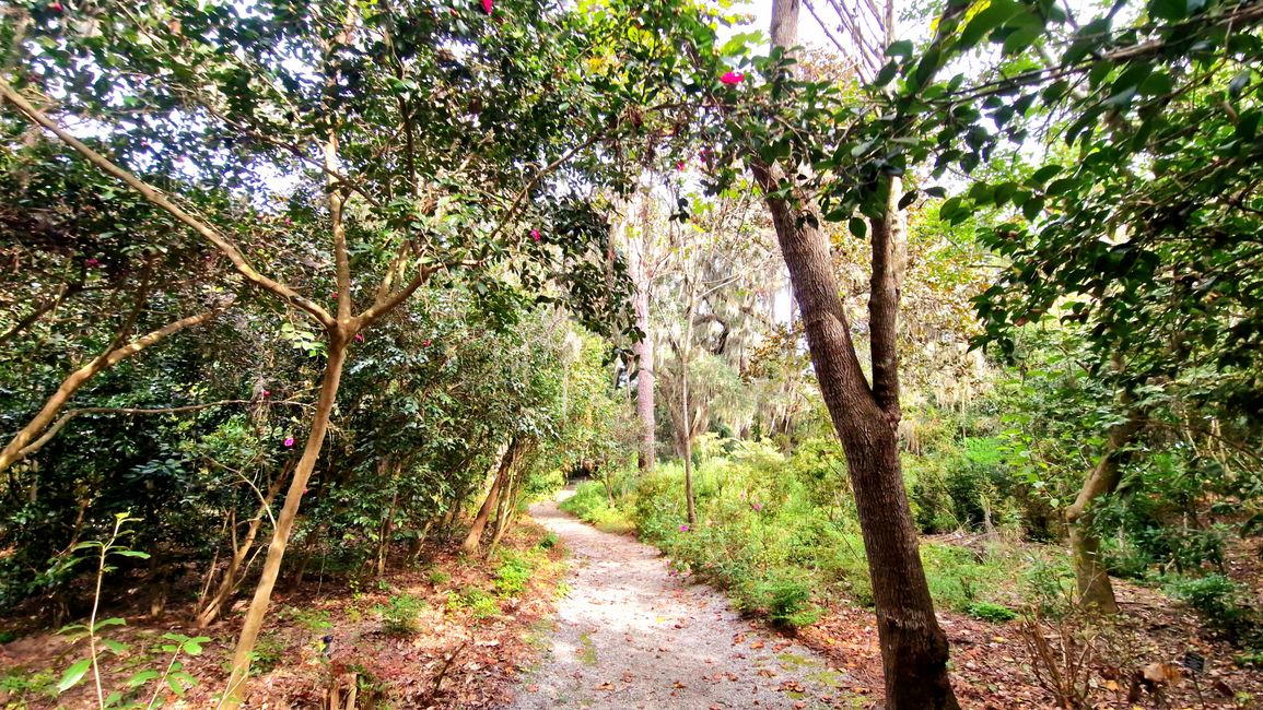 Magnolia Plantation and Audubon Swamp Garden
