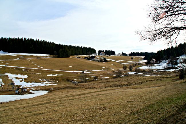 Walk in Schonach