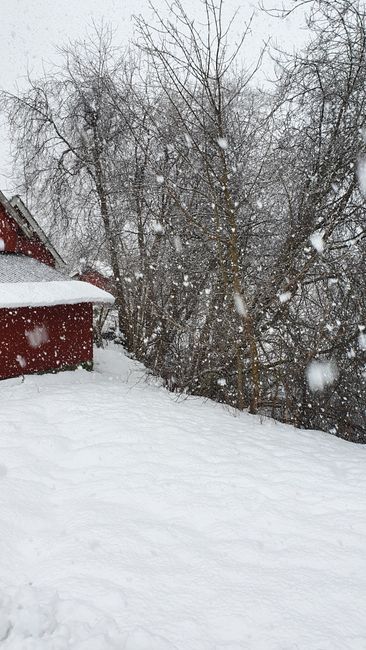 Red house and snowflakes - stereotype of Norway