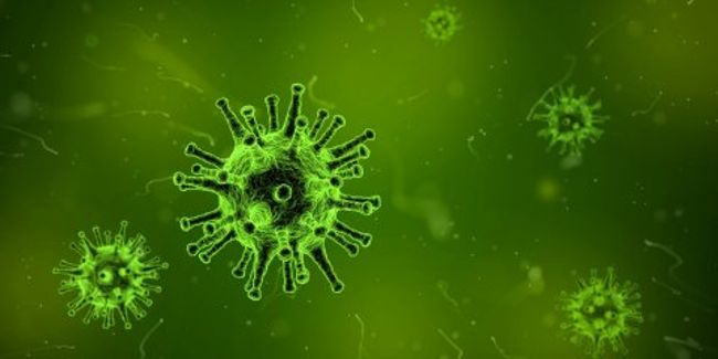 Coronavirus SARS-CoV-2