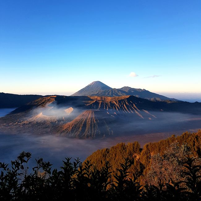 Mount Bromo (Java) - Indonesien