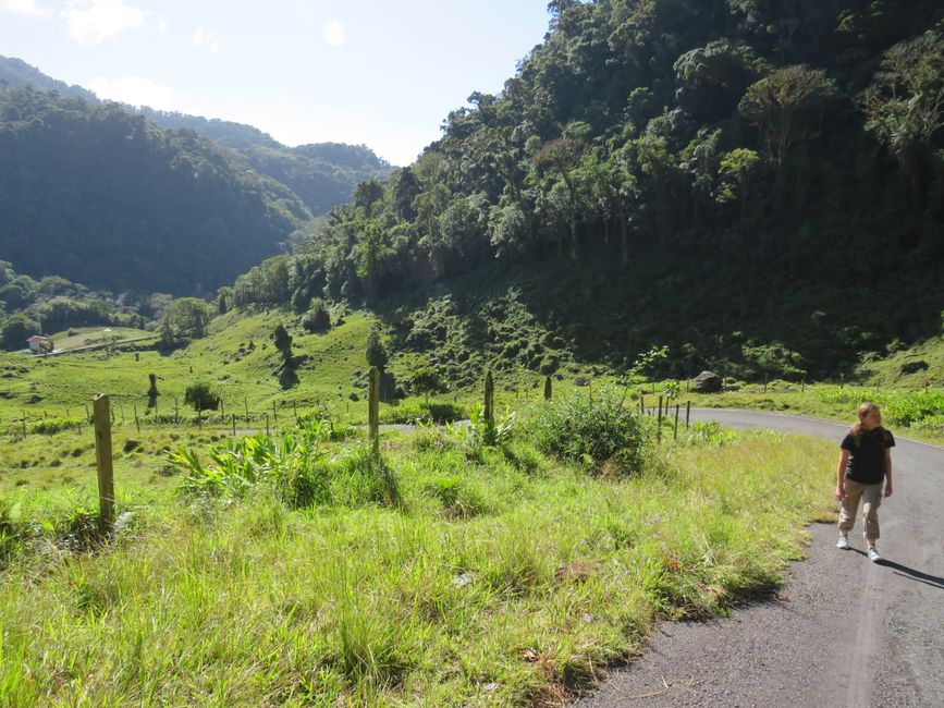 4. Boquete - in the Highlands of Panama