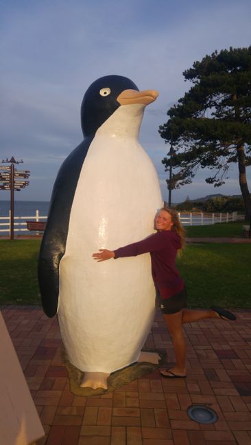 Big Penguin in Penguin
