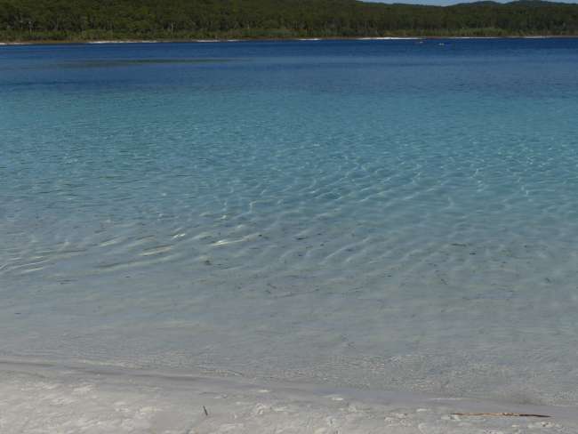 Unglaublich klares Wasser des Lake McKenzie