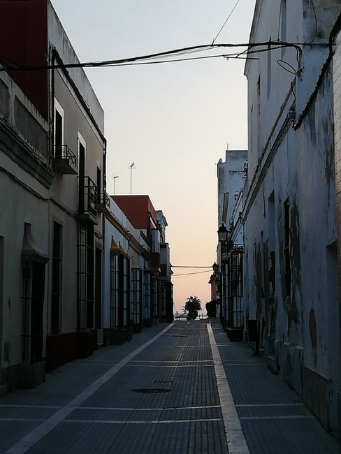 Cádiz / Puerto Real 2019 / 2020