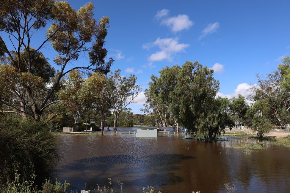 Toilets flooded at Purnong