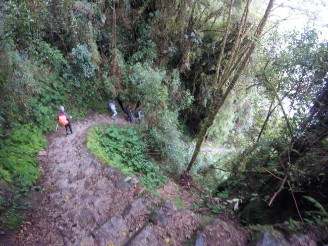 Inca trail through the Amazon