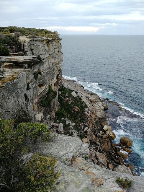 Cliff at Manly, north of the Harbour Bridge