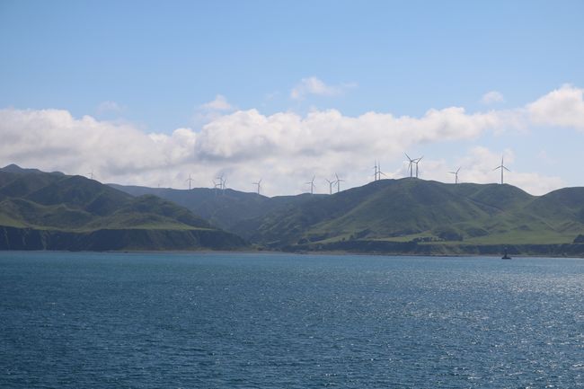 Wellington - Picton: Windmühlenanlage mitten im Meer 