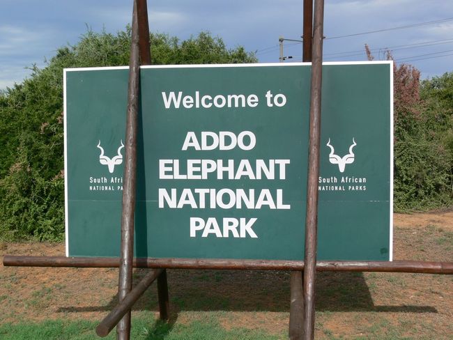 Addo Elephant Park....Okay für die BIG FIVE hats diesmal nicht gereicht....wiederkommen