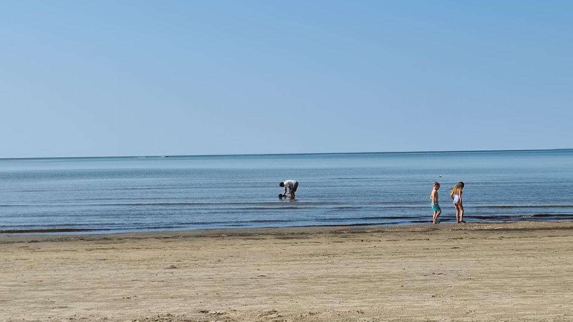 Beach in Båstad