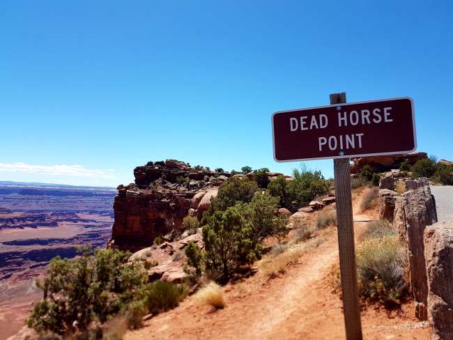 Day 15: Dead Horse Point State Park and Canyonlands NP