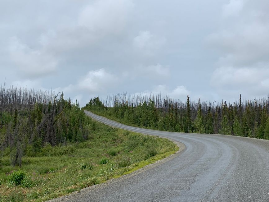 BLOG 9 - Stewart-Cassiar HWY Part 2 into Yukon