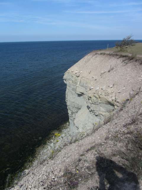 die Steilküste auf Saaremaa - ein beliebtes Ziel für Touristen