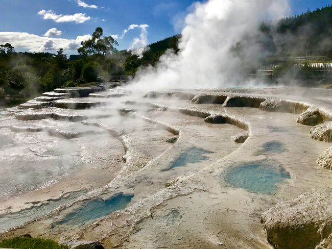 geyser with hot water dribbling and cooling down the silica terraces
