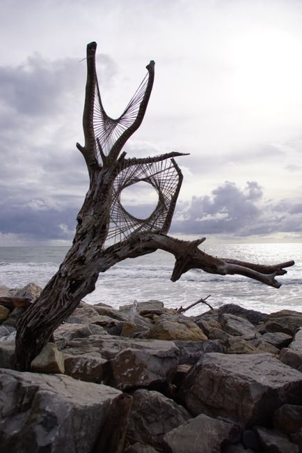 Artwork made of driftwood