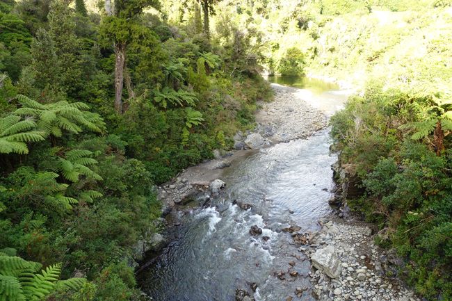 Road trip through the North Island of New Zealand