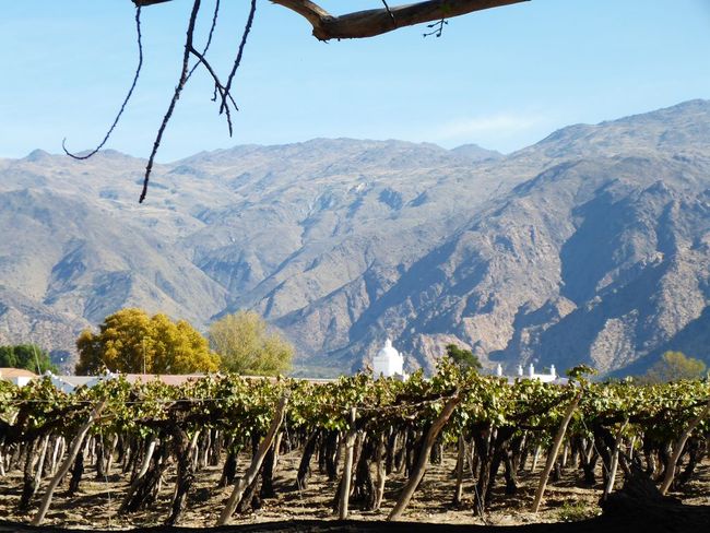 Salta, die Quebrada de Cafayate, der höchste Wein der Welt…und mal wieder unser Tank