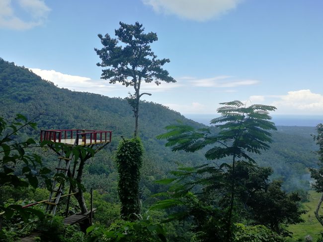 Lookout platform in the jungle