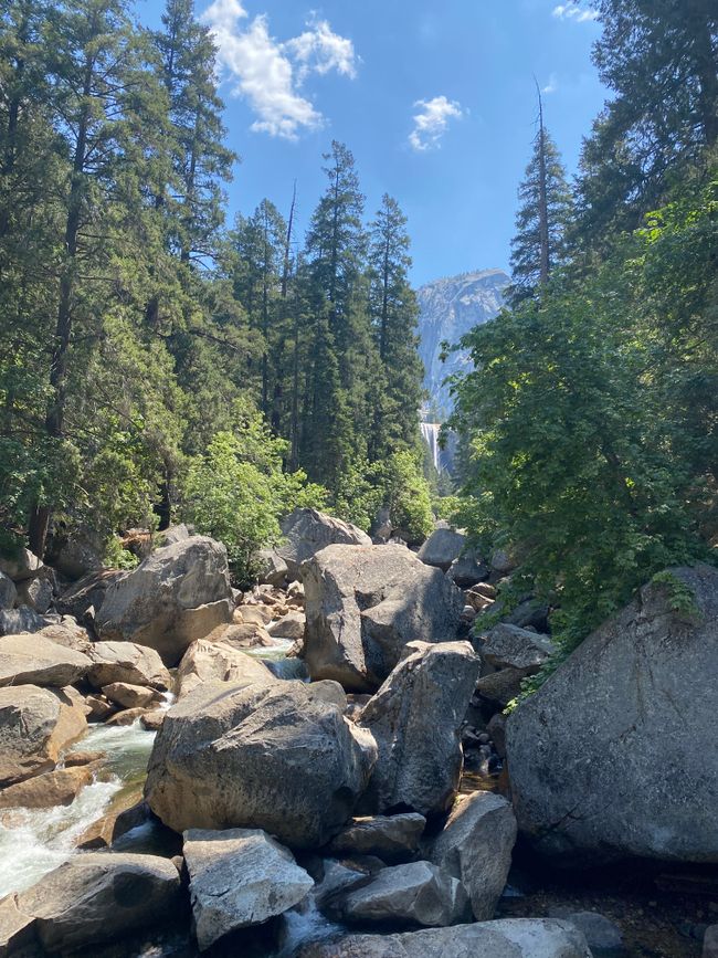 Yosemite Nationalpark&Fahrt nach San Francisco