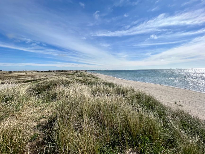 Over the dunes just before Skagen