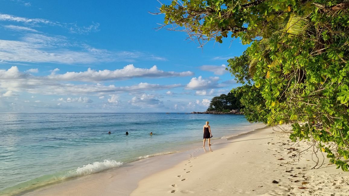 Seychellen 2023 - Teil 1: La Digue