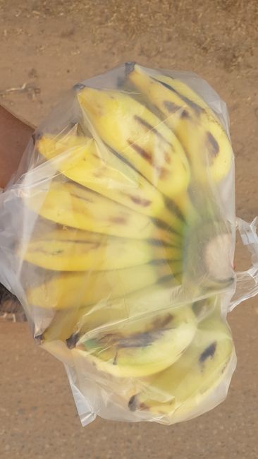 When I was walking back, I got this huge amount of bananas for a little more than 50 cents. There was no sign. In many other Asian countries, they automatically charge foreigners more. Here in Laos, they are not so much after the money. But this was also in the countryside.