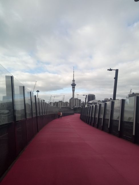 Die Pink Bridge in Auckland