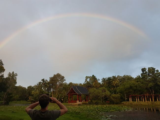 Regenbogen im Botanischen Garten Cairns 