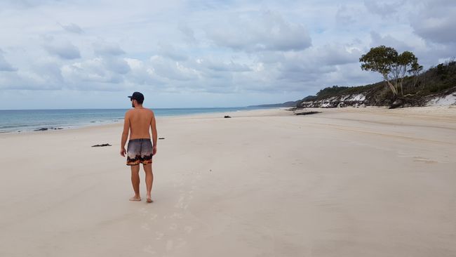 Day 28: Hervey Bay (Fraser Island)