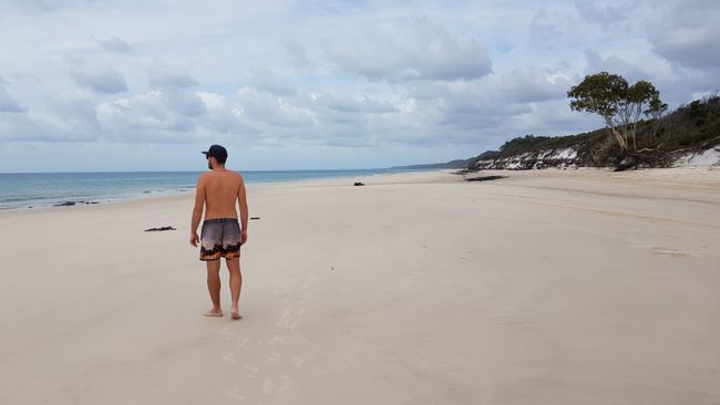 Día 28: Hervey Bay (Isla Fraser)