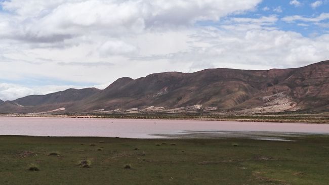 Bolivia uye Mabhazi