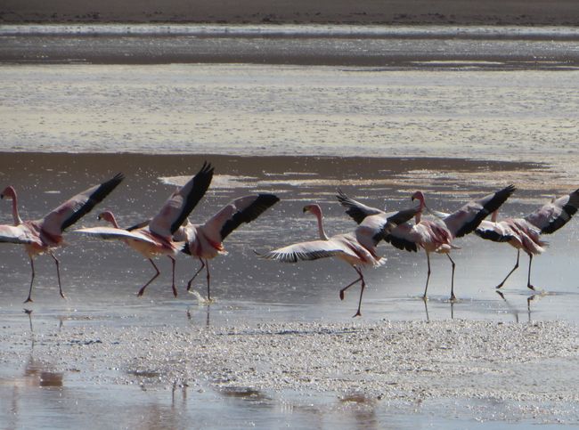 Salar de Uyuni