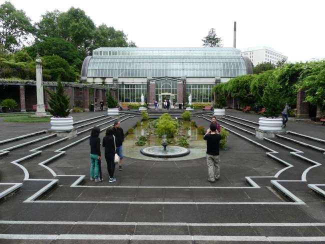 The courtyard between the greenhouses