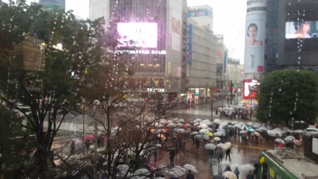 Nighttime in Shibuya