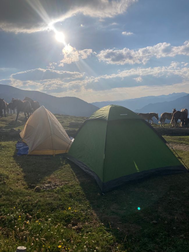 Camping in Andorra. Pirineu català