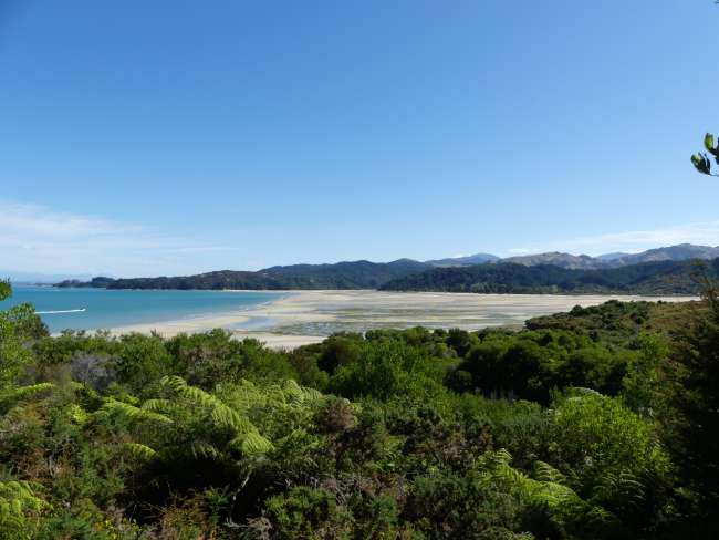Die Landschaft im Abel Tasman National Park
