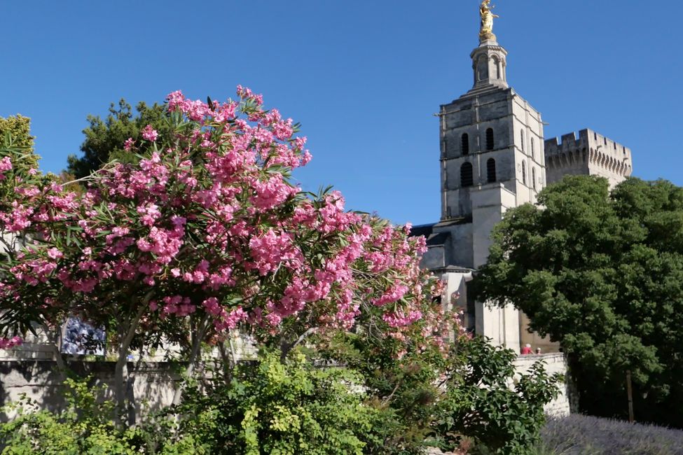 2021 - Juni - Avignon