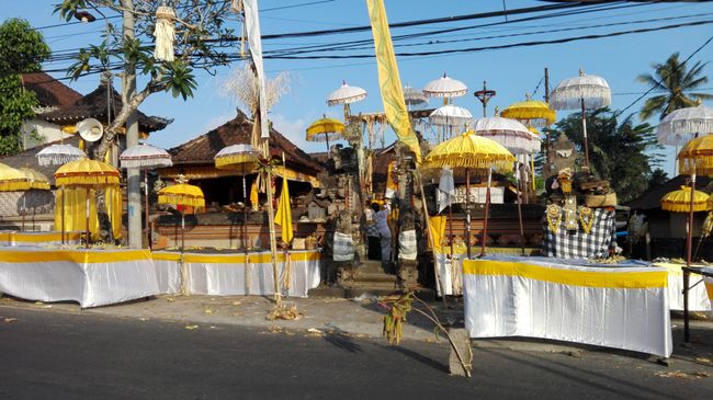 Festanlässe gibt es 375 Tage im Jahr. Szene in einem Dorf nähe Ubud.