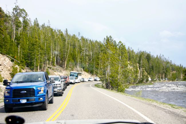 Road Trip Part V - Yellowstone National Park