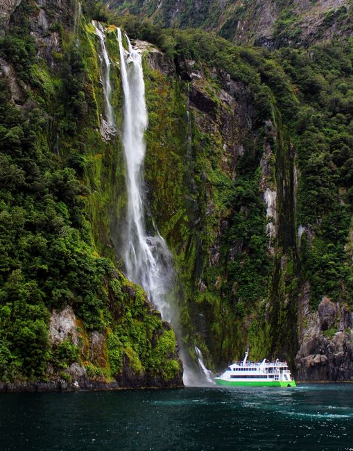 The Fiordland and Milford Sound