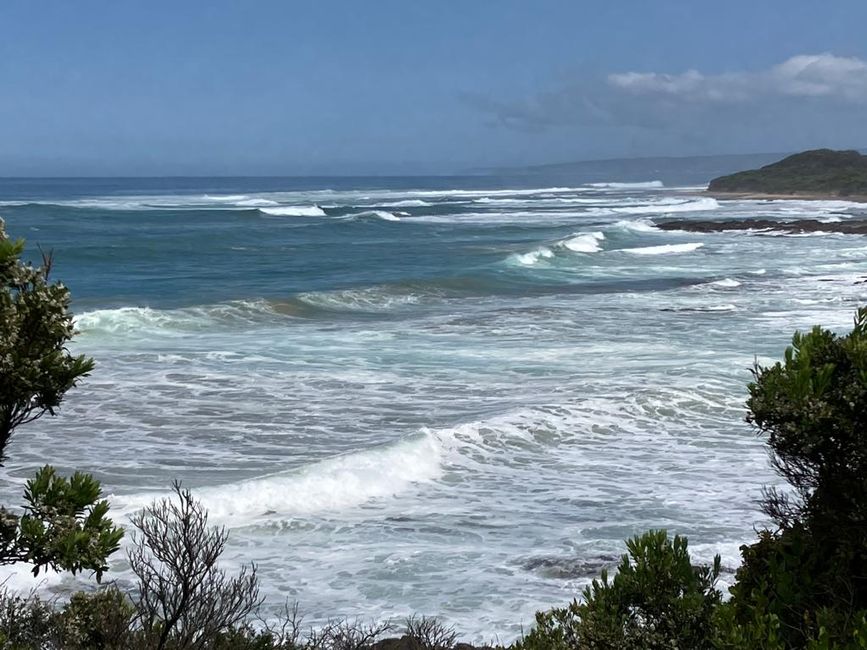 Día 9 - 18.09.23 - Great Ocean Road