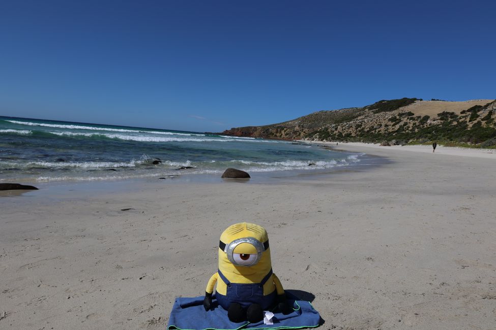Stuart enjoys Stokes Bay Beach