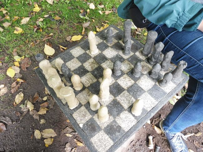 Eine Partie Schach