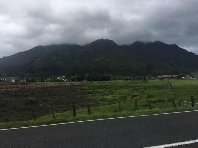 Mount Te Aroha ⛰